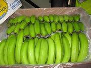 Предлагаем  бананы  из Эквадора